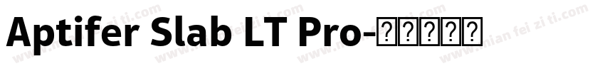 Aptifer Slab LT Pro字体转换